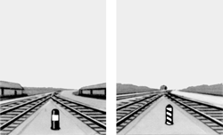 51.ZIM.GIF (16086 BYTES)