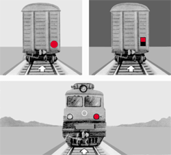 79.ZIM.GIF (24872 BYTES)