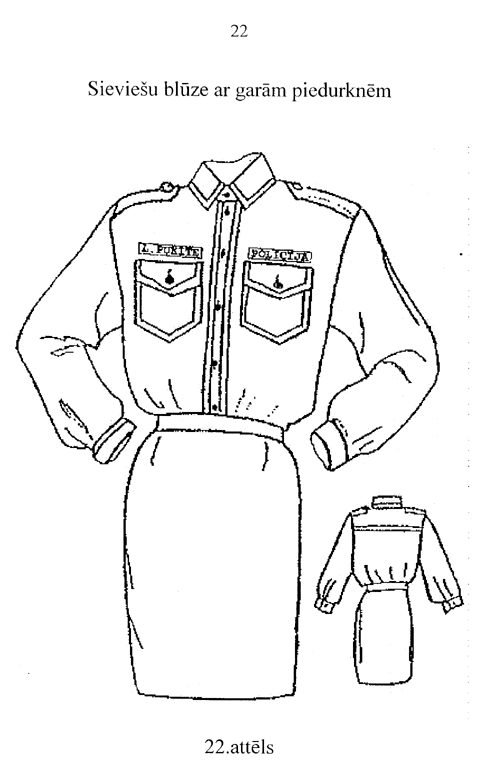 22-597 COPY.GIF (48880 bytes)