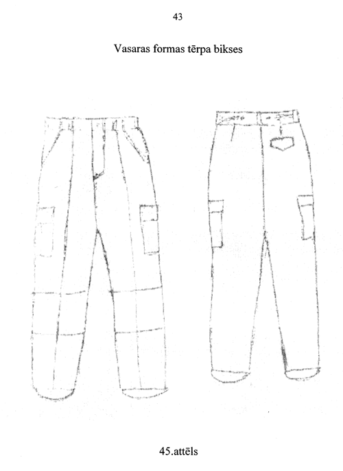 43-597 COPY.GIF (42376 bytes)