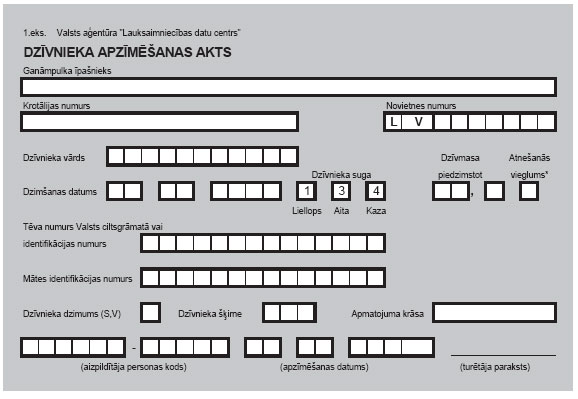 04.JPG (40730 bytes)
