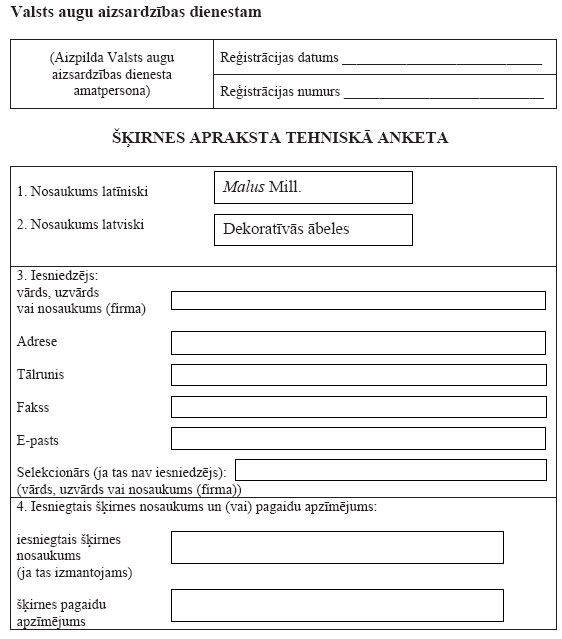 01.JPG (55043 bytes)