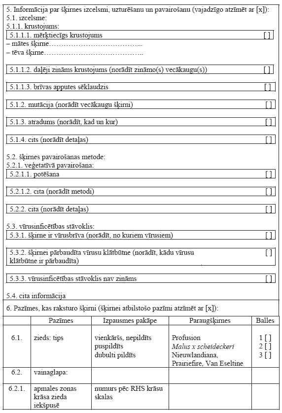 02.JPG (100898 bytes)