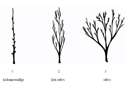 05.JPG (16135 bytes)