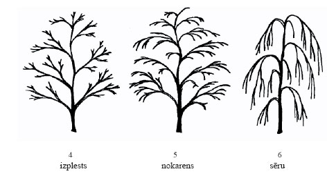 06.JPG (26340 bytes)