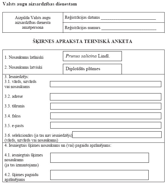 21.JPG (55673 bytes)