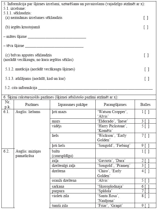 22.JPG (78796 bytes)