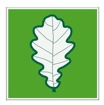 OZOLLAPA.JPG (18034 bytes)