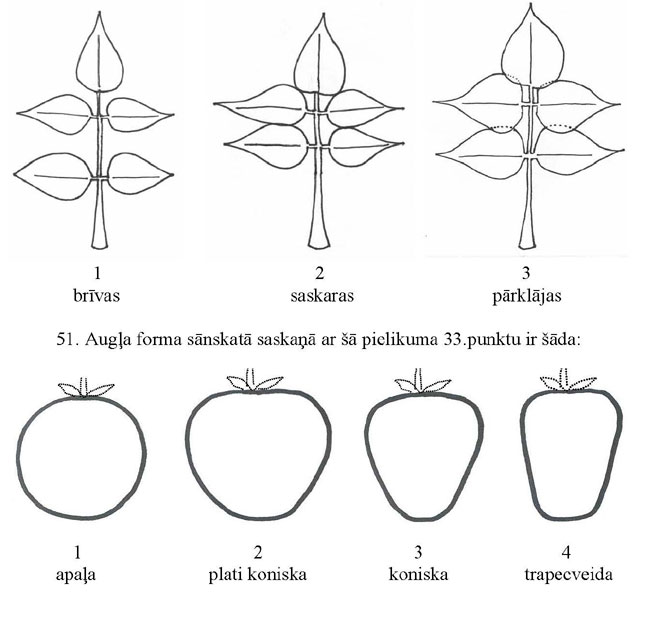 PIE-KN53P1_PAGE_2.JPG (48912 bytes)