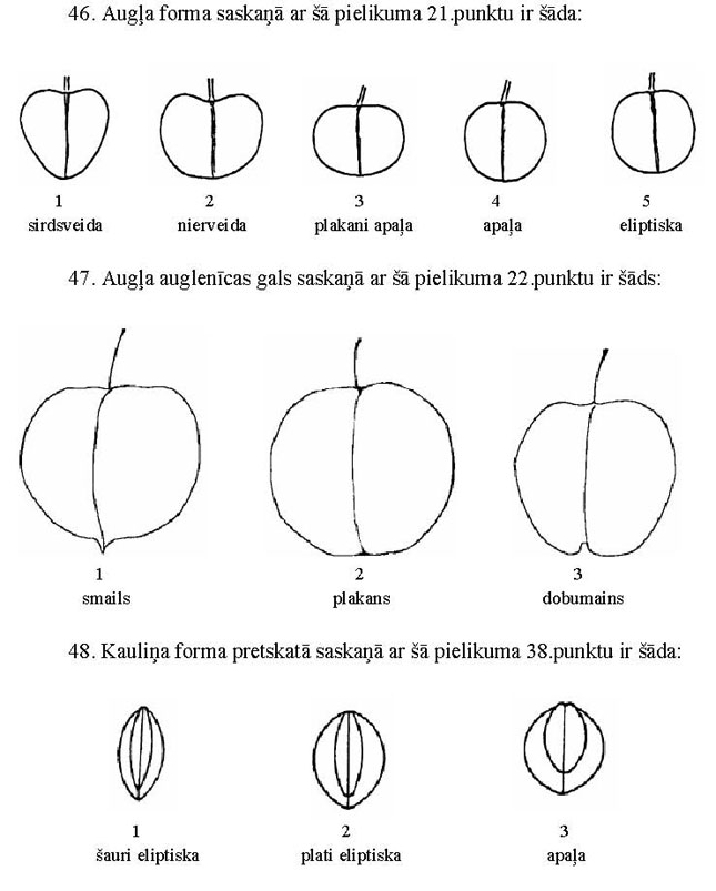 PIE-KN55P1_PAGE_3.JPG (62971 bytes)