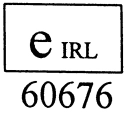 EARNUM~1.JPG (20352 BYTES)