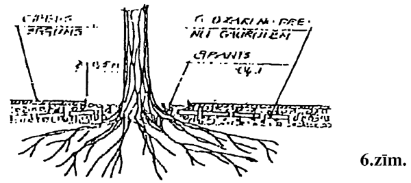 6ZIM COPY.GIF (34159 BYTES)