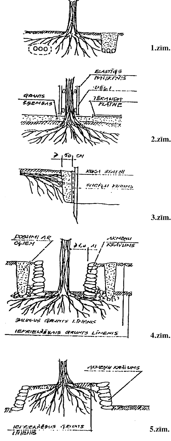 ZIMEJUMI COPY.GIF (144188 BYTES)